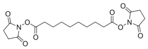 Di(N-succinimidyl) sebacate - CAS:23024-29-5 - DS Seb, Sebacic acid bis(N-succinimidyl) ester